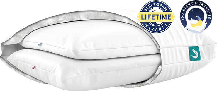 Sleepgram Pillow 2