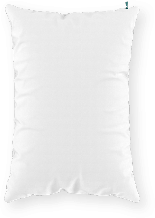 Sleepgram Pillow 20