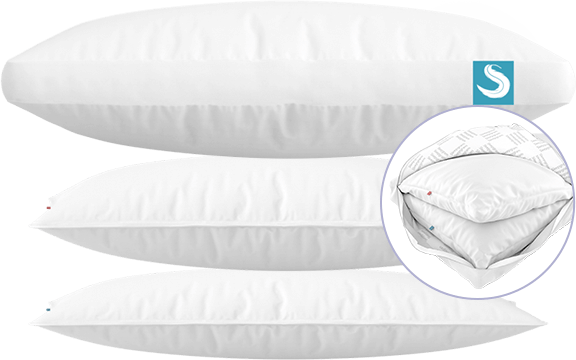buy Sleepgram Pillow